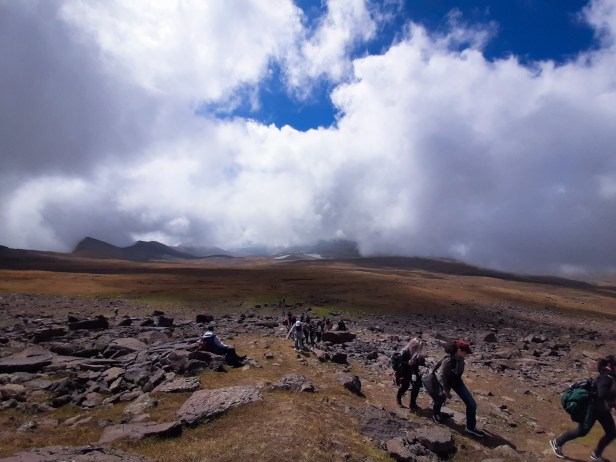 PSX_20190901_195002[1]