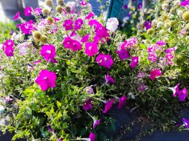 PSX_20190910_225146[1]