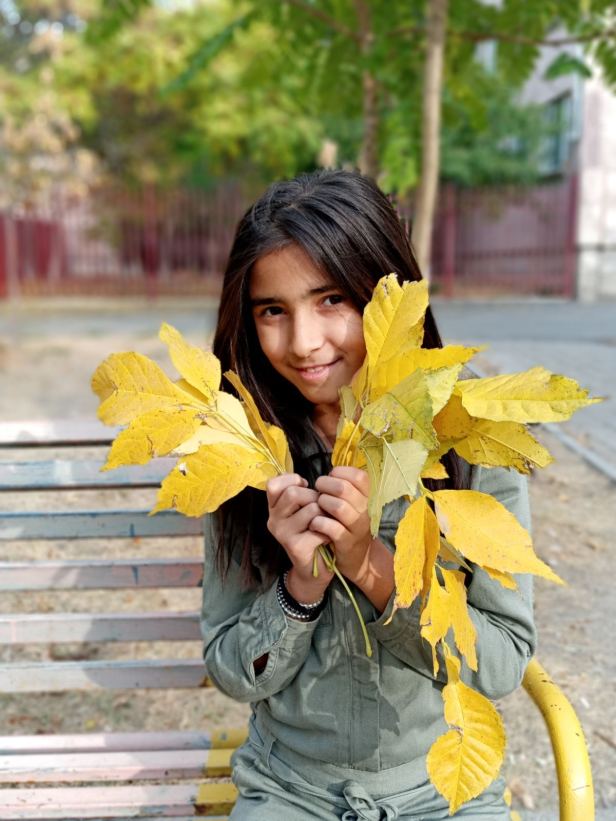 IMG-699c58e433e17a14b11841afe36576a4-V