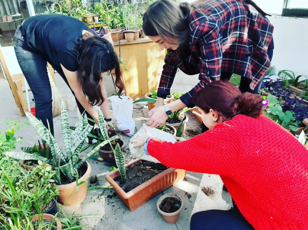 IMG_20191031_111040_900