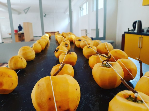 IMG_20191101_111619_406