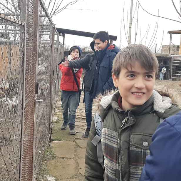 IMG_20200221_231545_959